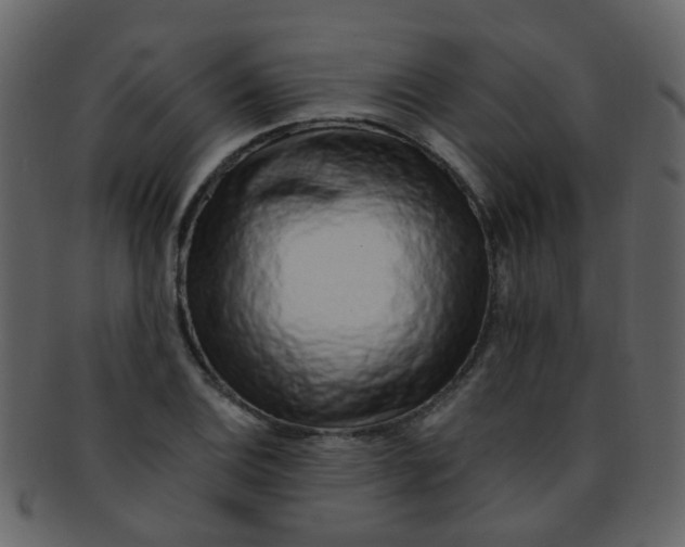 X0000093151124200710171345