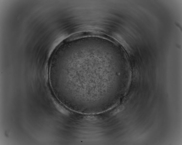 X0000093151128200710171345