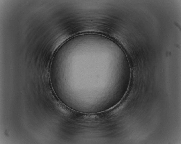 X0000093151129200710171345