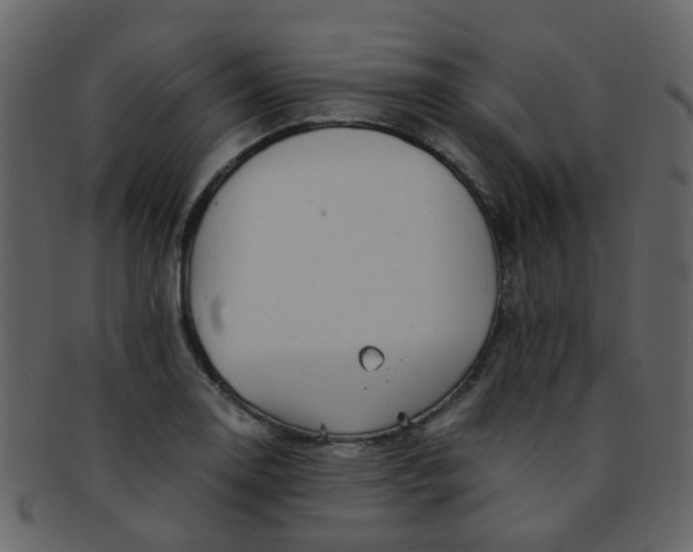 X0000093151130200710171345