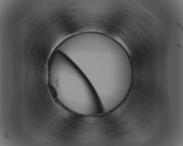 X0000093151132200710171345