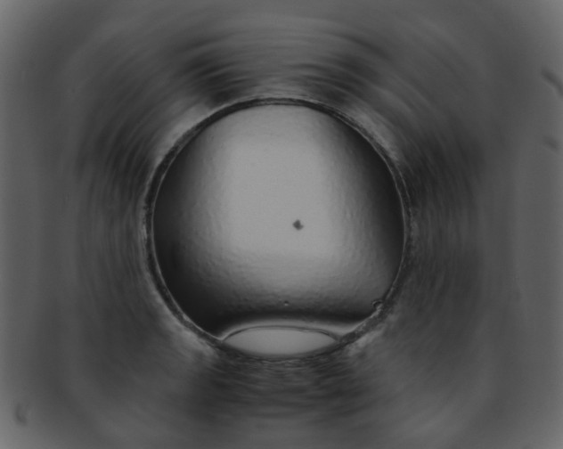 X0000093151133200710171345