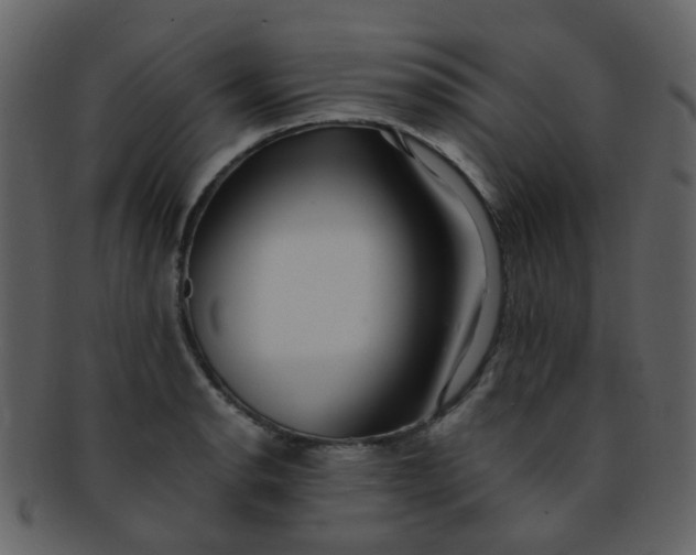 X0000093151134200710171345