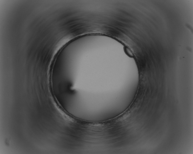 X0000093151135200710171345