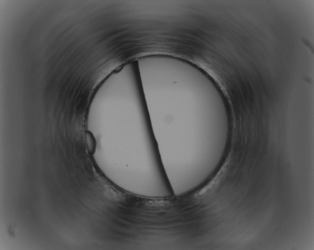 X0000093151137200710171345