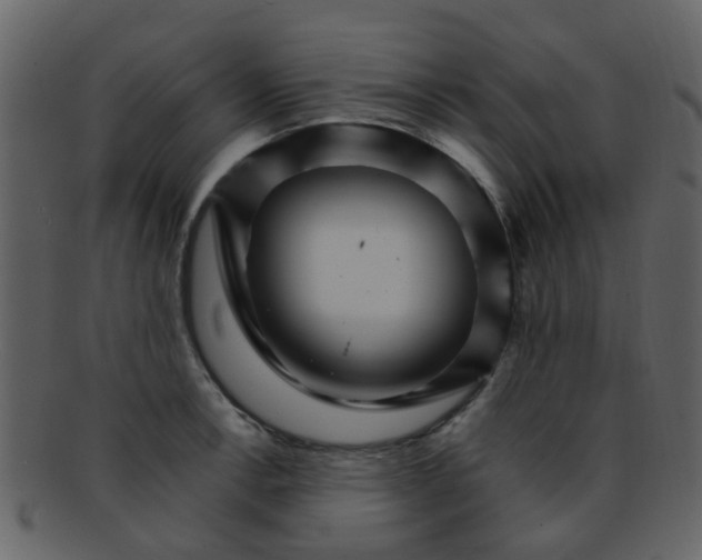 X0000093151138200710171345