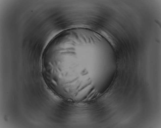 X0000093151140200710171345