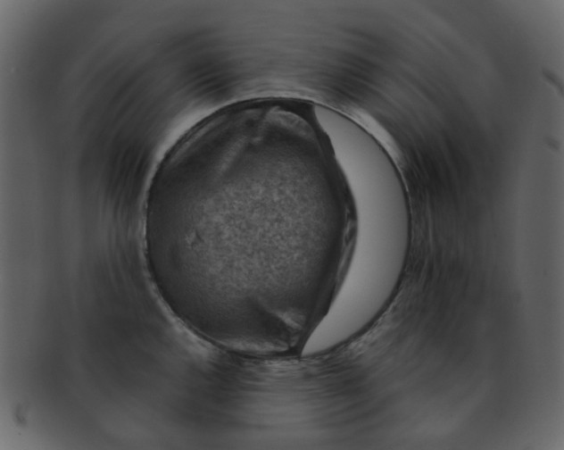 X0000093151144200710171345