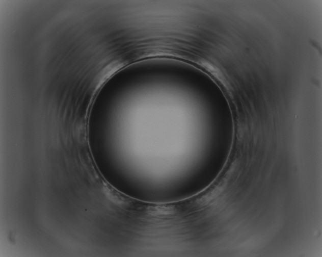 X0000093151145200710171345