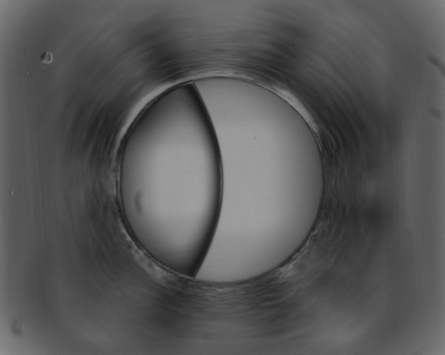 X0000093151148200710171345