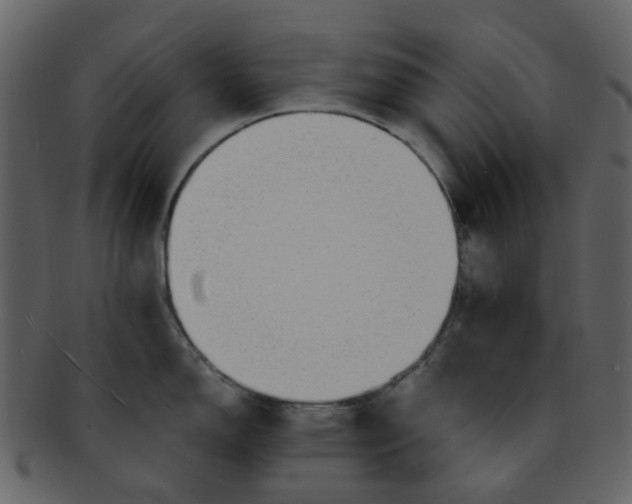 X0000093151150200710171345