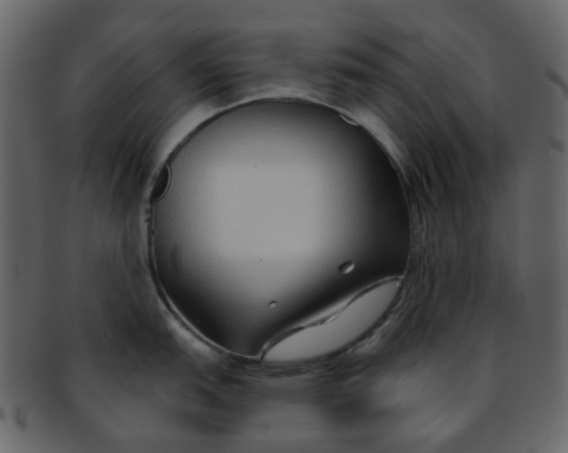 X0000093151151200710171345