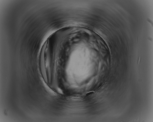 X0000093151152200710171345