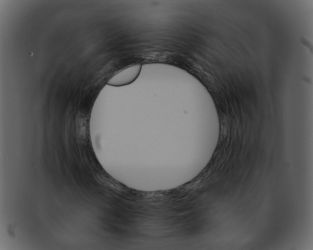 X0000093151154200710171344