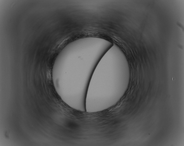 X0000093151155200710171344