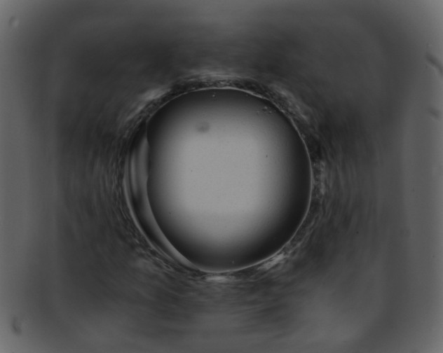 X0000093151157200710171344