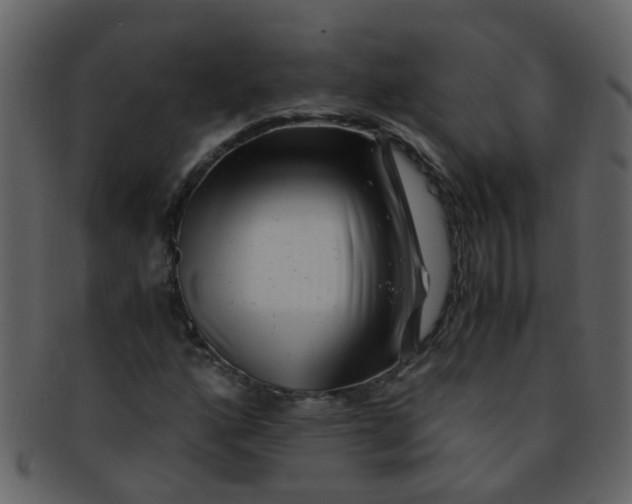 X0000093151160200710171344