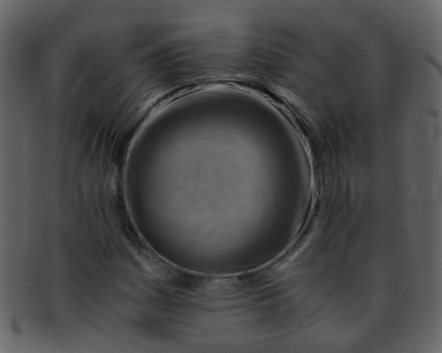 X0000093151161200710171344