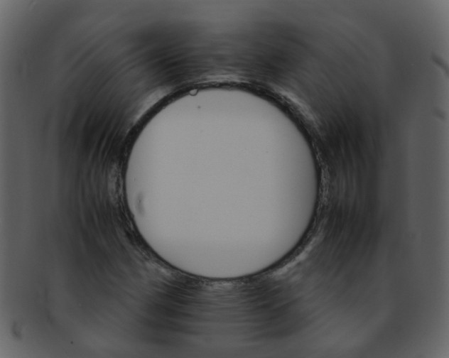 X0000093151162200710171344