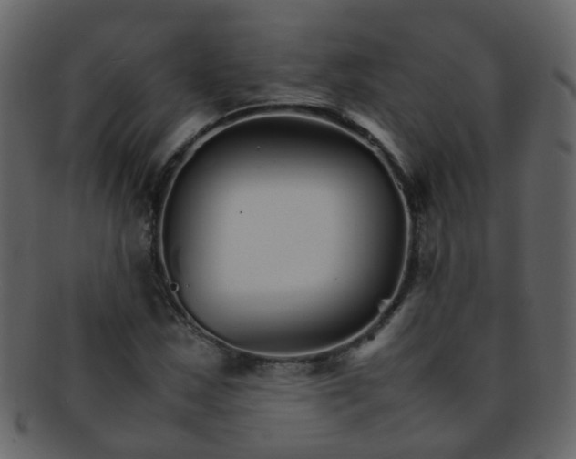 X0000093151163200710171344