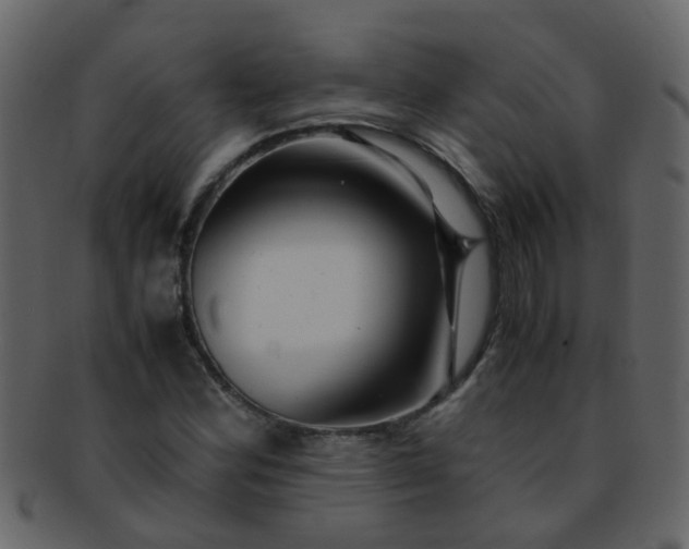 X0000093151164200710171344