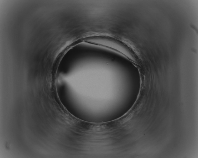 X0000093151165200710171344