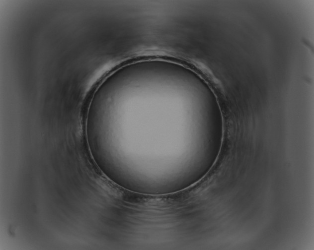 X0000093151167200710171344