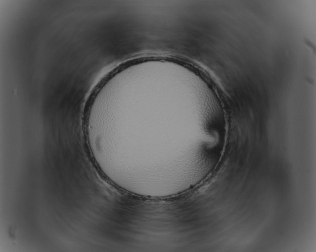 X0000093151168200710171344