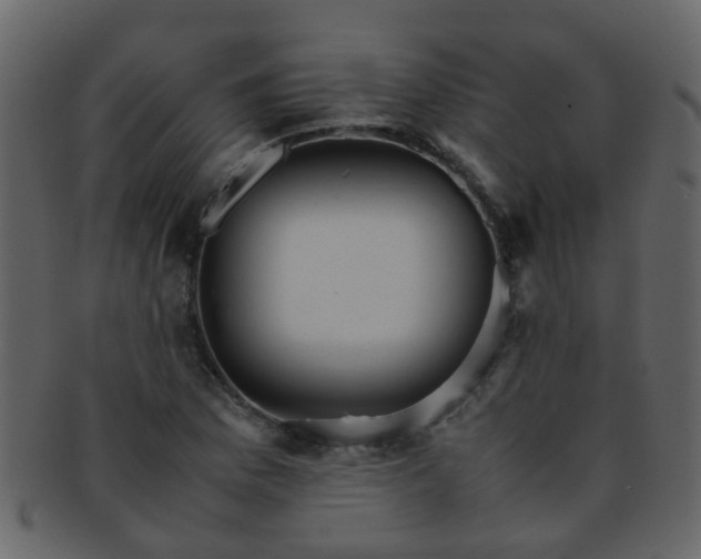 X0000093151169200710171344