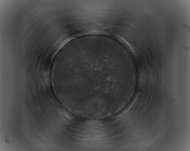 X0000093151170200710171344