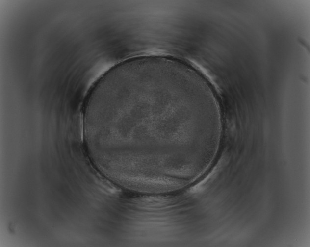 X0000093151171200710171344