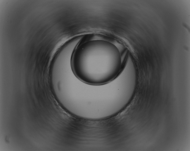 X0000093151172200710171344