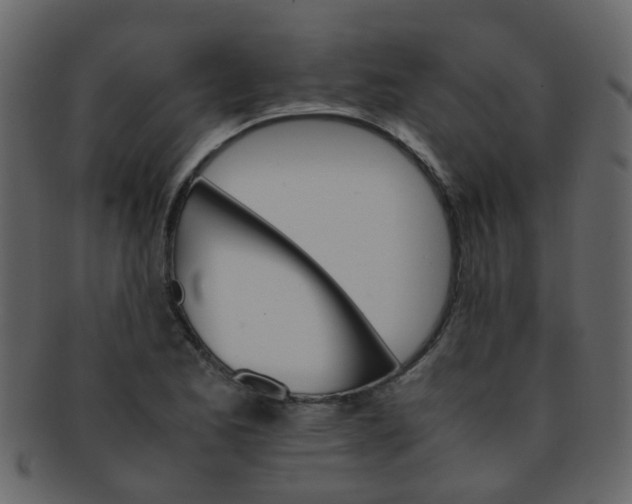 X0000093151173200710171344