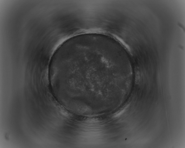 X0000093151174200710171344