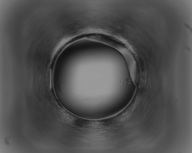 X0000093151175200710171344