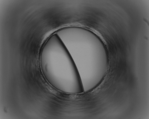 X0000093151176200710171344