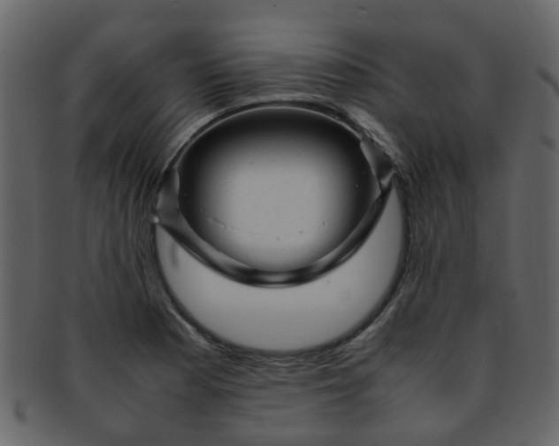 X0000093151177200710171344