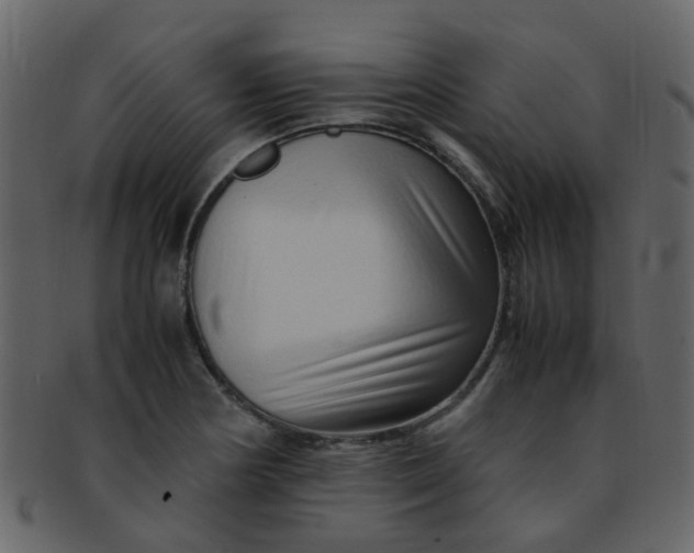 X0000093151178200710171344