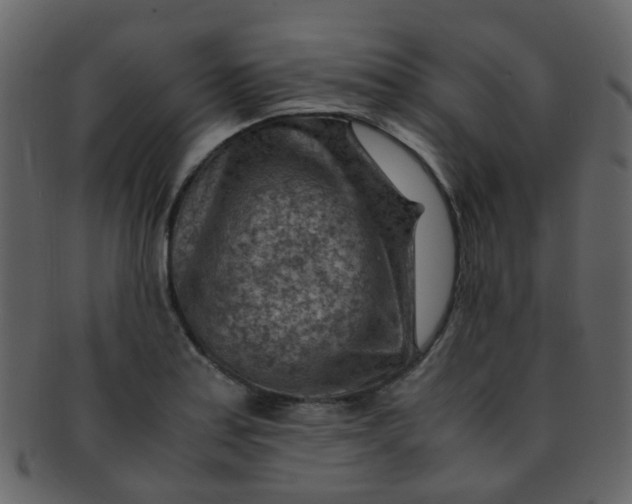 X0000093151179200710171344