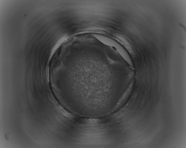 X0000093151180200710171344