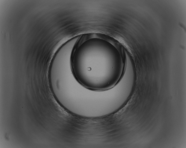 X0000093151181200710171344