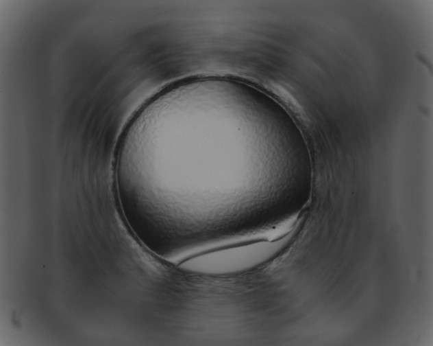 X0000093151183200710171344