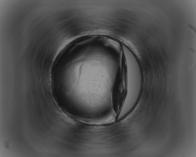 X0000093151184200710171344