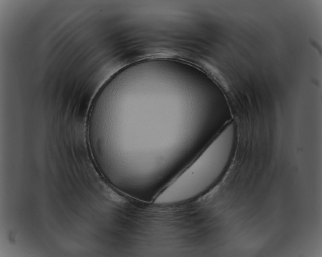 X0000093151186200710171344