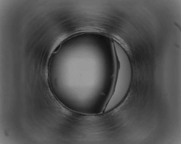 X0000093151188200710171344