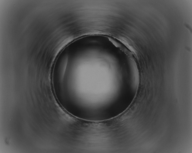 X0000093151189200710171344