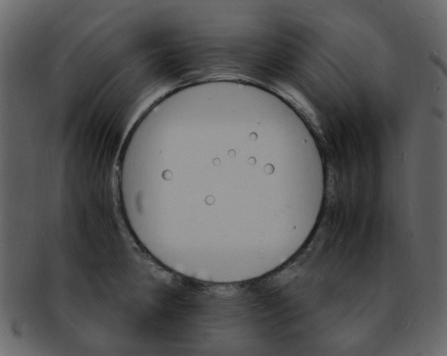 X0000093151190200710171344