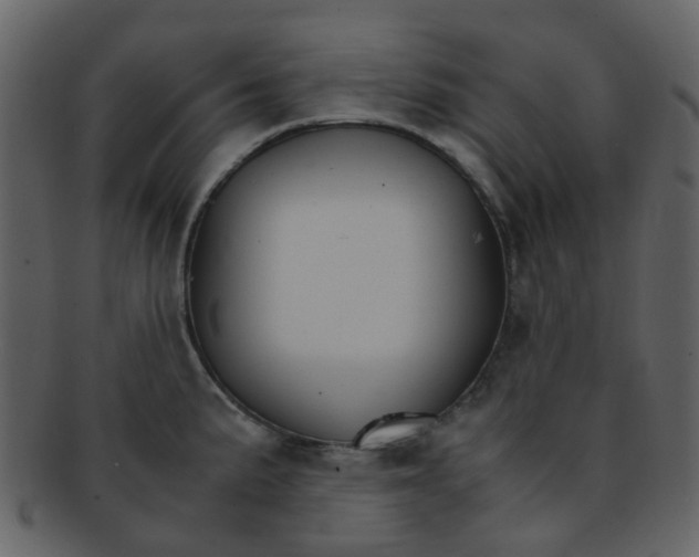 X0000093151191200710171344