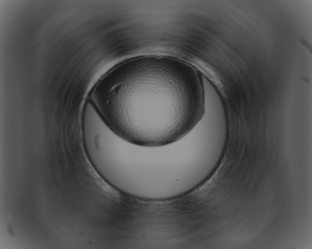 X0000093151192200710171344