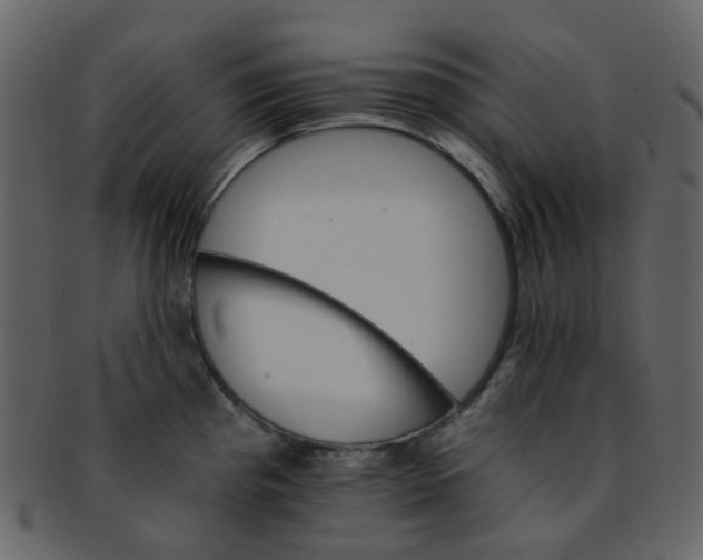 X0000093151193200710171344